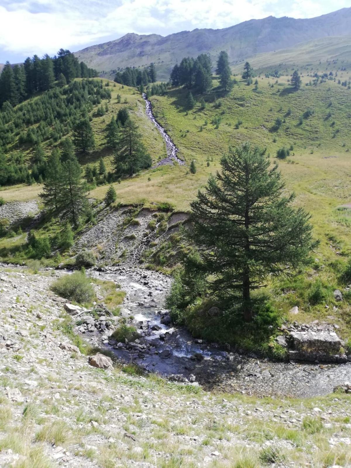 App Vue Montagne Barcelonnette Proche Piscine Rando Riviere Nature Eksteriør bilde
